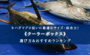 【2025年】キハダ釣りに適したクーラーボックス おすすめ12選【サイズ・保冷力もバッチリ】