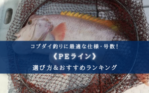【2024年】コブダイ釣りのPEラインおすすめランキング21＆太さ(号数)の選び方まとめ