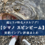 【ヒラメ特攻！】シマノ スピンビームの実釣インプレ評価【使い方＆おすすめカラーも！】