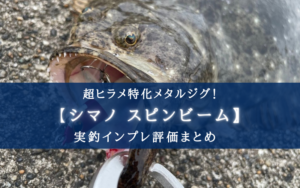 【ヒラメ特攻！】シマノ スピンビームの実釣インプレ評価【使い方＆おすすめカラーも！】