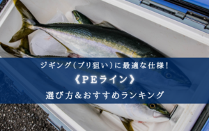 【2024年】ブリジギングのPEラインおすすめ20選＆太さ(号数)の選び方