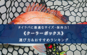 【2024年】タイラバのクーラーボックス おすすめ17選【コスパ最強モデルも！】