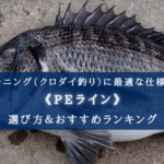 【2025年】チヌ(クロダイ)釣りのPEラインおすすめ20選＆太さ(号数)の選び方