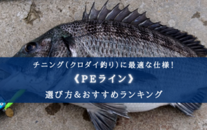 【2025年】チヌ(クロダイ)釣りのPEラインおすすめ20選＆太さ(号数)の選び方