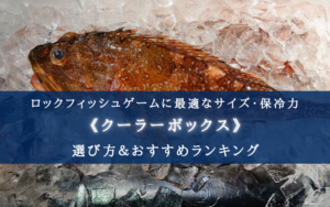 【2024年】ロックフィッシュ用のクーラーボックス おすすめモデル＆選び方まとめ！
