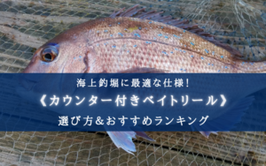 【2024年】海上釣堀のカウンター付きベイトリール おすすめ10選【コスパ最強も！】