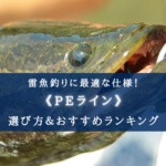 【2025年】雷魚釣りのPEライン おすすめ15選&太さ(号数)選び方も徹底解説!