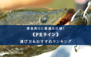 【2025年】雷魚釣りのPEライン おすすめ15選＆太さ（号数）選び方も徹底解説！