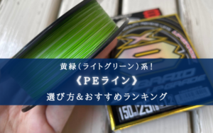 【2024年】緑（グリーン系）のPEラインおすすめ14選＆太さ(号数)の選び方【視認性抜群！】