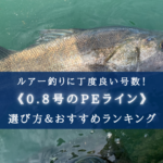 2018年12月】千葉県 富浦新港で夜釣り 電気ウキでメバル・シーバス・ヒラメ・クロダイ狙い