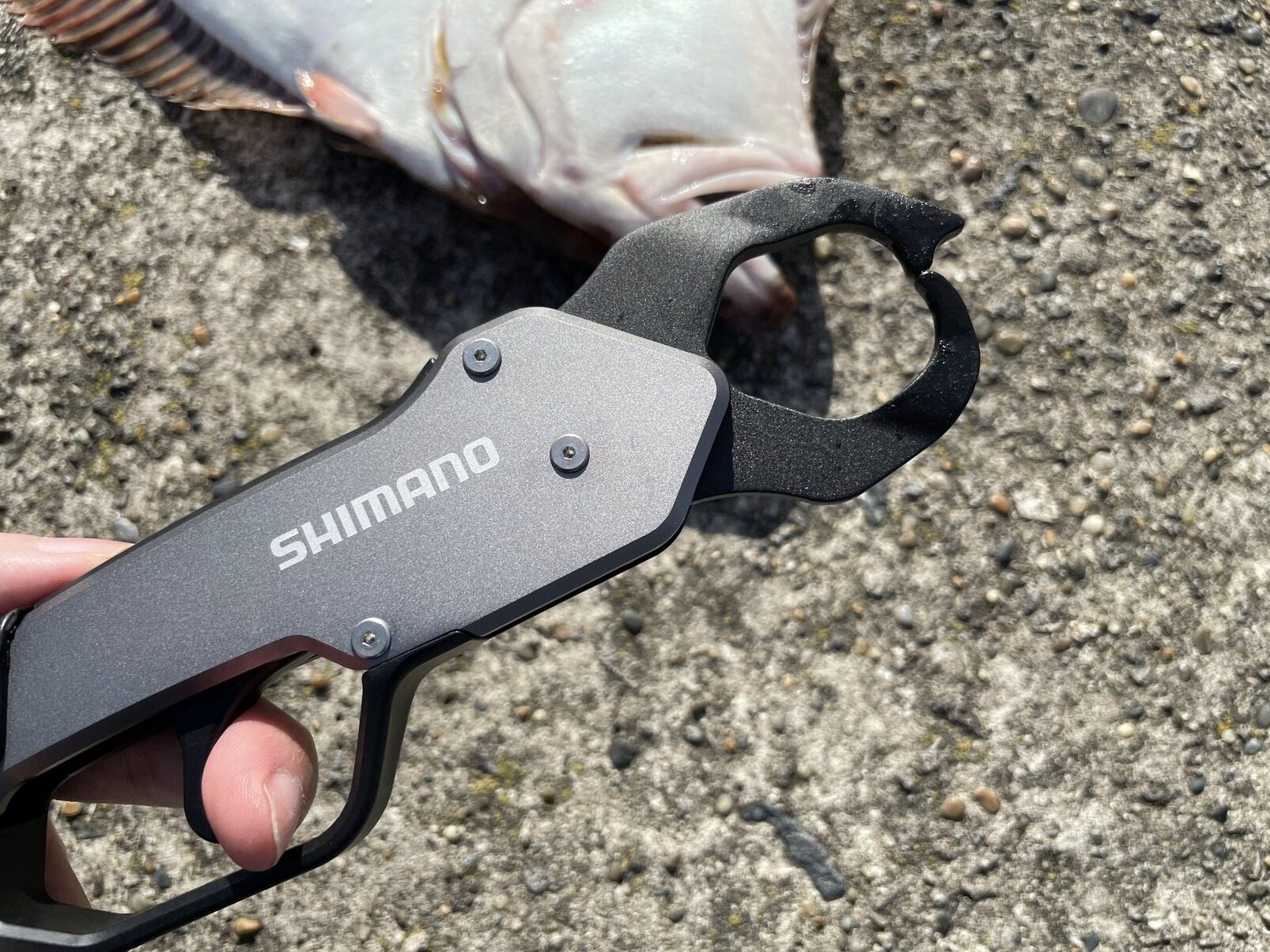 艶消し黒！】シマノ フィッシュグリップR(UE-302T)の実釣インプレ評価 