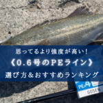 【2025年】PEライン(0.6号) おすすめ人気ランキング28選&太さ(号数)の選び方まとめ