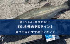 【2025年】PEライン(0.6号) おすすめ人気ランキング28選&太さ(号数)の選び方まとめ