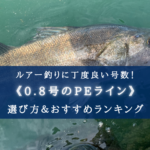 【2025年】PEライン(0.8号) おすすめ人気ランキング31選&太さ(号数)の選び方まとめ