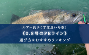 【2025年】PEライン(0.8号) おすすめ人気ランキング31選＆太さ(号数)の選び方まとめ