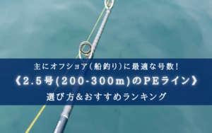 【2024年】PEライン(2.5号-200/300m) おすすめランキング21選＆選び方まとめ