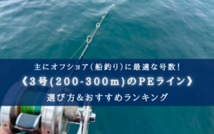 【2025年】PEライン(3号-200/300m) おすすめランキング30選&選び方まとめ