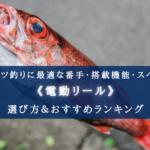 【2024年】アカムツ釣りに最適な電動リールおすすめ16選【コスパ重視ランキング!】