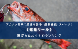【2024年】アカムツ釣りに最適な電動リールおすすめ16選【コスパ重視ランキング！】
