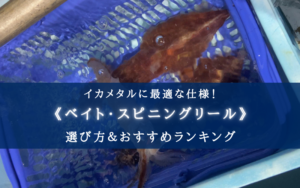 【2024年】イカメタル釣りのベイトリールおすすめ18選【コスパ最強or使い勝手重視】