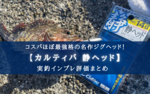 【コスパほぼ最強！】カルティバ 静ヘッドの実釣インプレ評価【安いのに飛距離が良い！】