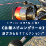 【2025年】シマノのスピニングリール おすすめ32選【ルアー・餌釣り各種！】