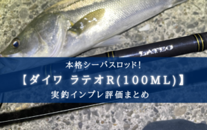 【ほぼハイエンド？】ダイワ ラテオR(100ML) 実釣インプレ評価まとめ