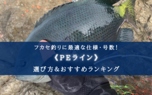 【2025年】フカセ釣りのPEラインおすすめランキング22選＆太さ(号数)の選び方