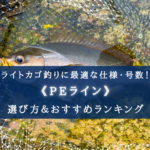 【2024年】ライトカゴ釣りのPEラインおすすめランキング21選&太さ(号数)の選び方