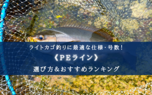 【2024年】ライトカゴ釣りのPEラインおすすめランキング21選＆太さ(号数)の選び方