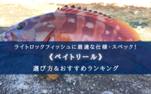 【2025年】ライトロックフィッシュのベイトリールおすすめ15選【コスパ最強orスペック最強】