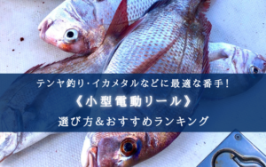 【2025年】小型電動リールの選び方＆おすすめ14選【コスパ重視ランキング！】