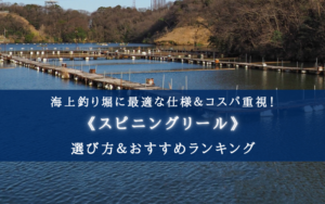 【2024年】海上釣り堀のスピニングリール おすすめ20選【最適な仕様＆コスパ最強も！】
