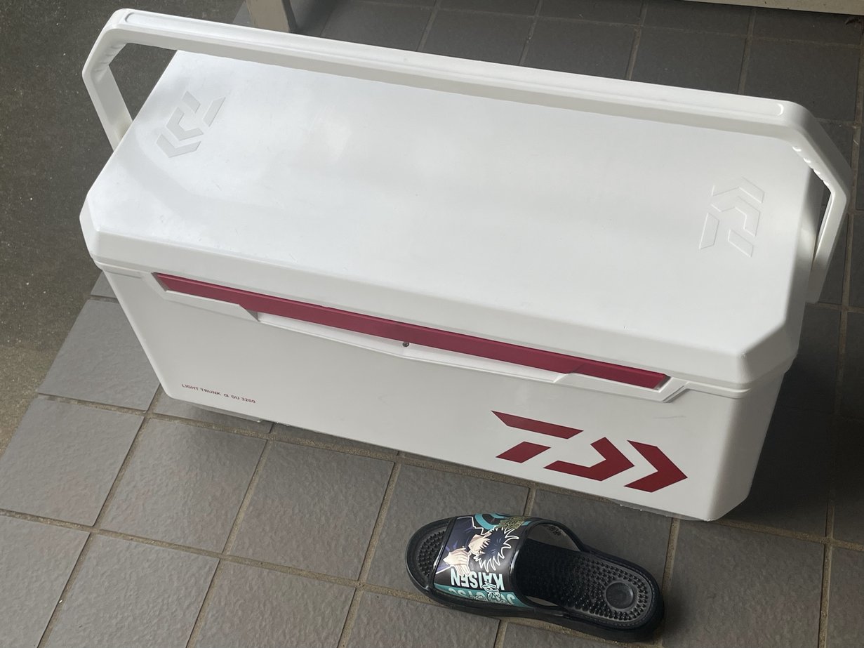 ダイワ(DAIWA) クーラーボックス ライトトランクα 24*32リットル ダイワ クーラーボックス ライトトランク