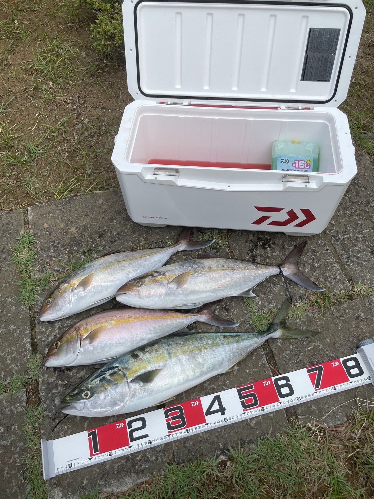 ダイワ(DAIWA) クーラーボックス ライトトランクα SU2400 アイスブルー 釣り 24 ダイワ(DAIWA) クーラーボックス ライトトランクα 24~