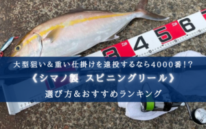 【2024年】シマノのスピニングリール(4000番) おすすめ16選【コスパ重視！】