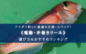 【2024年】アマダイ釣りの電動・手巻きリールおすすめ16選【コスパ重視！】