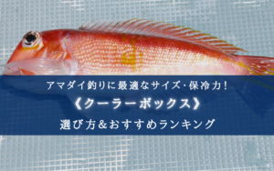 【2024年】アマダイ釣りのクーラーボックス おすすめ14選【コスパ最強！選び方も徹底解説】