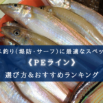 【2024年】キス釣り(堤防・サーフ)のPEラインおすすめランキング21選&太さ(号数)の選び方