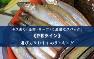 【2024年】キス釣り(堤防・サーフ)のPEラインおすすめランキング21選＆太さ(号数)の選び方