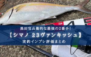 【最高の2番手！】シマノ 23ヴァンキッシュの実釣インプレ評価【圧倒的巻き＆自重の軽さ】