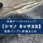 【超ヒラメ特化!】シマノ ネッサXRの実釣インプレ評価【本格サーフロッドとして!】