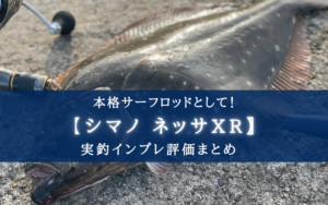 【超ヒラメ特化!】シマノ ネッサXRの実釣インプレ評価【本格サーフロッドとして!】