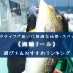 【2024年】ショウサイフグ（外房フグ）に適したリールおすすめ10選【コスパ重視！】