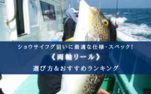 【2024年】ショウサイフグ（外房フグ）に適したリールおすすめ10選【コスパ重視！】