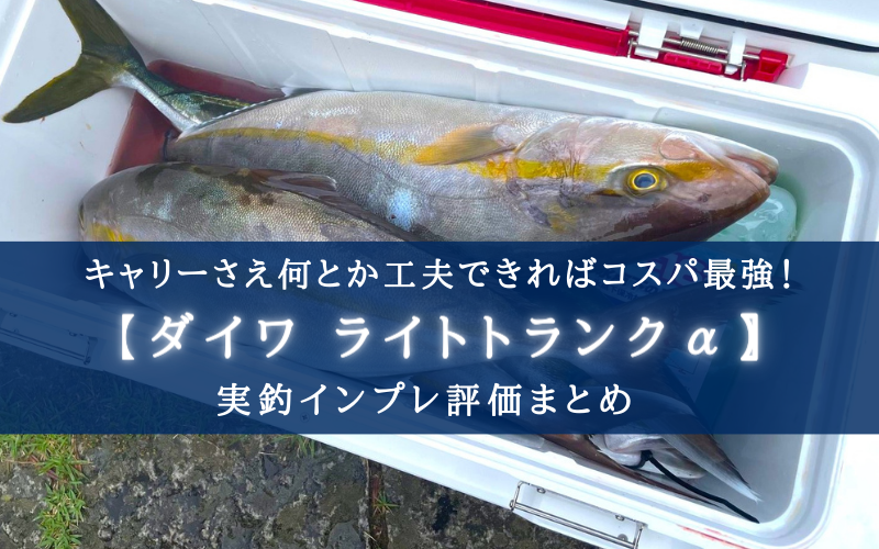 【ほぼコスパ最強！】ダイワ ライトトランクα(GU3200)の実釣インプレ【60㎝までの魚に！】