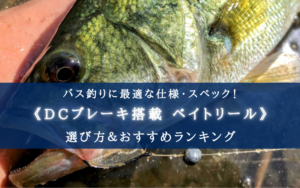 【2024年】バス釣りに適したDCベイトリールおすすめ9選【コスパ最強はどれ？】