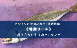 【2025年】ビシアジに適した電動リールの選び方＆おすすめ12選【コスパ重視ランキング！】