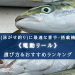 【2024年】船ブリ(泳がせ釣り)の電動リールおすすめ14選【コスパ重視ランキング!】