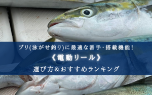 【2024年】船ブリ(泳がせ釣り)の電動リールおすすめ14選【コスパ重視ランキング!】